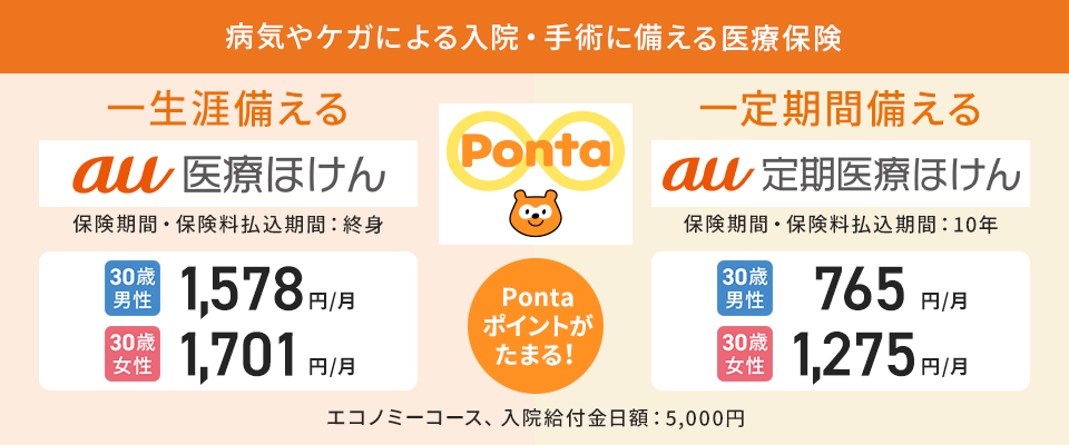 終身医療保険（au医療ほけん）・定期医療保険（au定期医療ほけん）