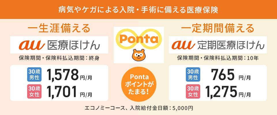 終身医療保険（au医療ほけん）・定期医療保険（au定期医療ほけん）