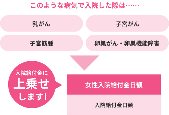 乳がん、子宮がん、子宮筋腫、卵巣がん・卵巣機能障害などの病気で入院した際は、女性入院給付金日額を入院給付金額に上乗せします！
