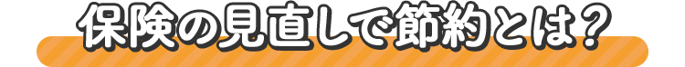 保険の見直しで節約とは？