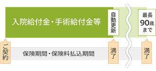 入院給付金・手術給付金等。ご契約。保険期間・保険料払込期間。満了。自動更新。長年90歳まで。満了。
