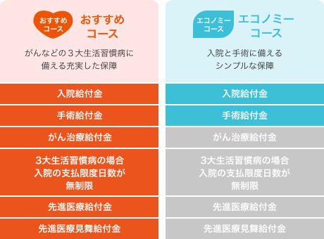 おすすめコース：がんなどの3大生活習慣病に備える充実した保障　エコノミーコース：入院と手術に備えるシンプルな保障