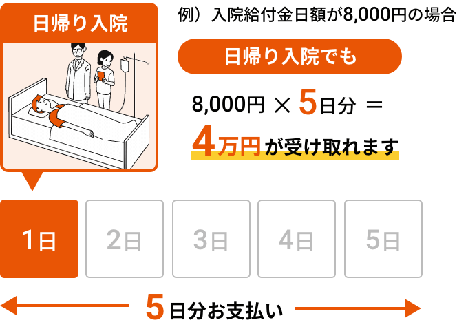 日帰り入院。5日分お支払い