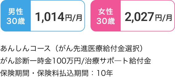 30歳の月額保険料例保険期間・保険料払込期間10年